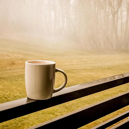 Michasiowka Διαμέρισμα